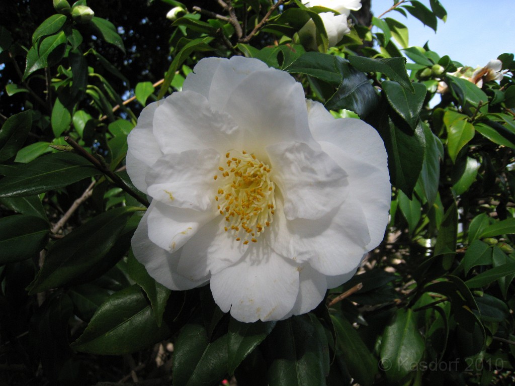 San Diego California 2010-02 0160.jpg - A trip to San Diego California February 2010. Balboa Park museums and the aircraft carrier Midway.